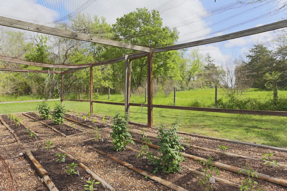 16 On the Market Morning Glory Farm in Brenham November 2014