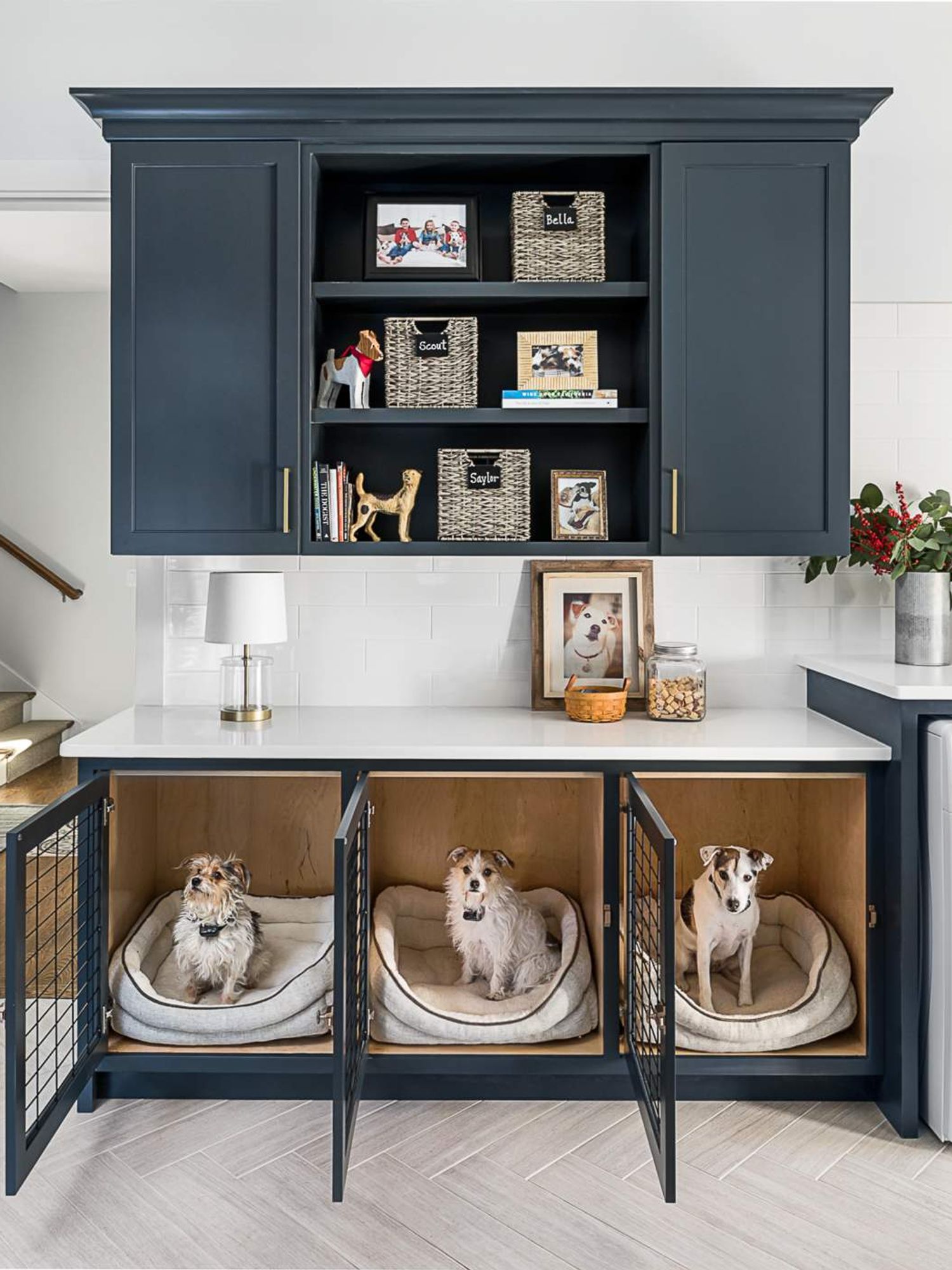 2024 U.S. Houzz Pets & the Home Study, built-in cabinets for dogs