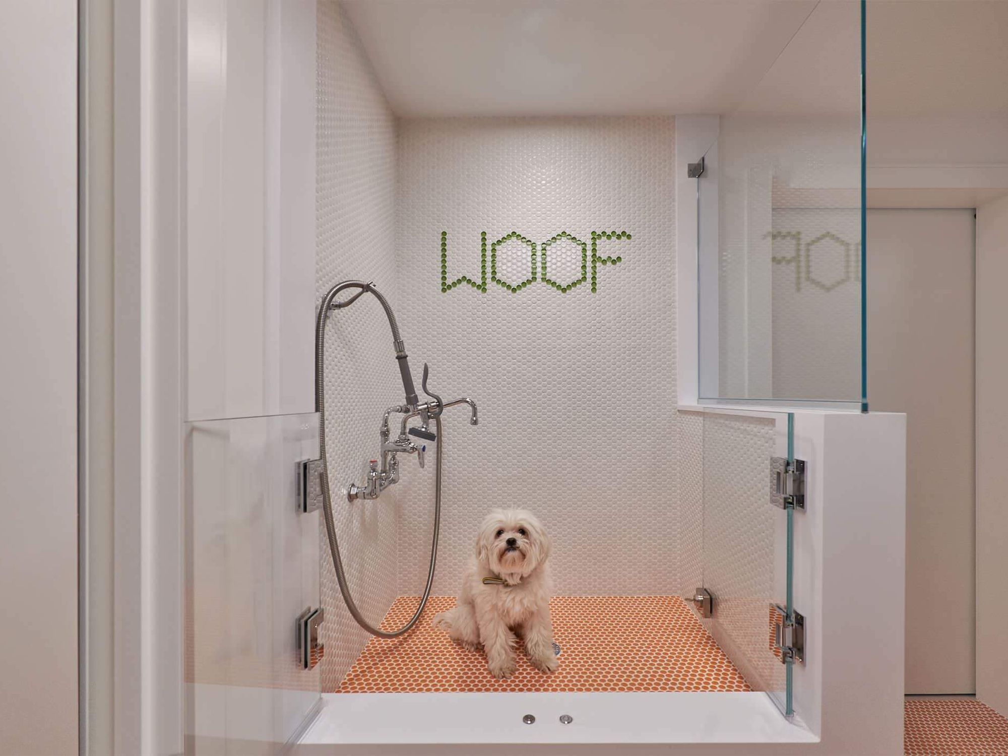 2024 U.S. Houzz Pets & the Home Study, custom designed grooming station for pets
