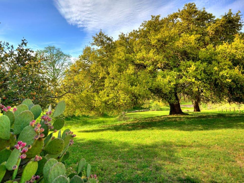 457 Bob Mortitz Fredericksburg house for sale