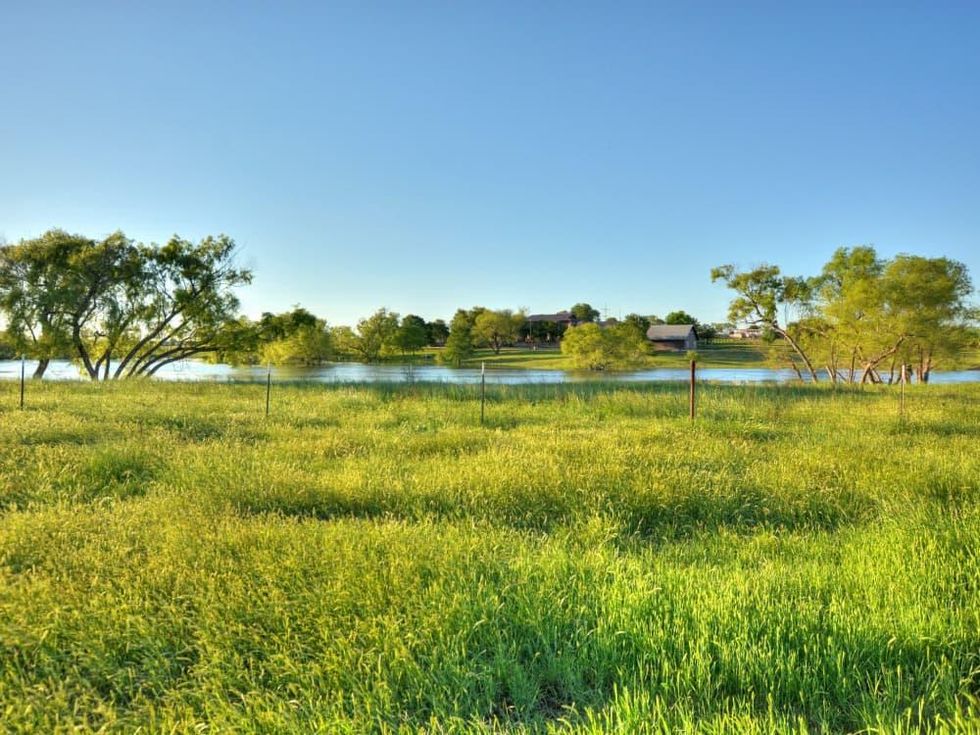 519 Briarpatch Marshall 12