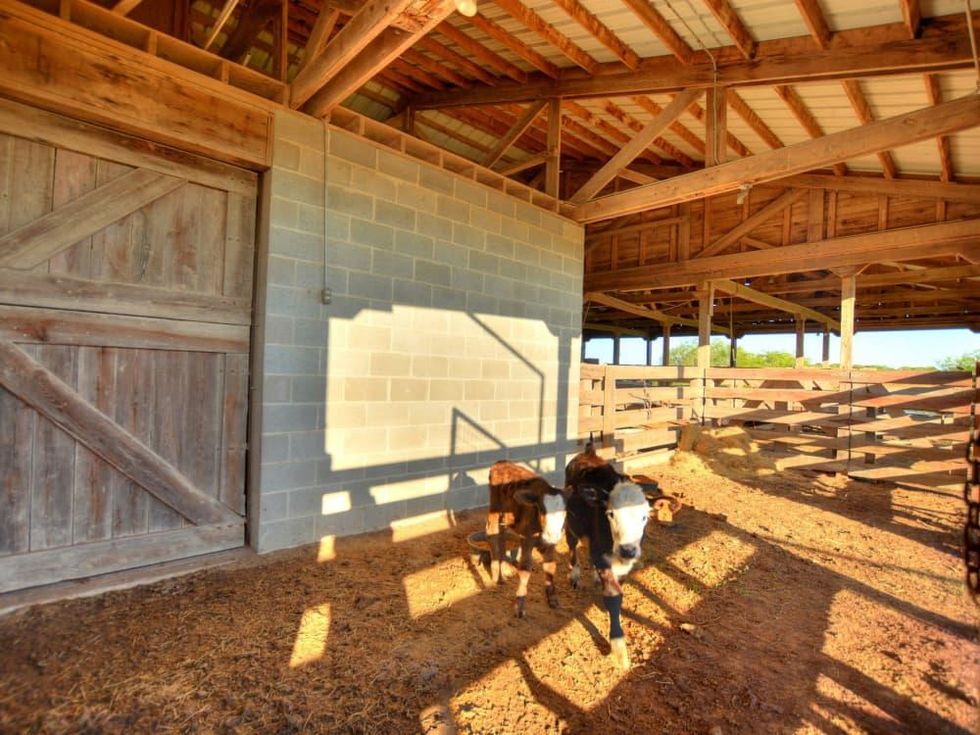 519 Briarpatch Marshall 13