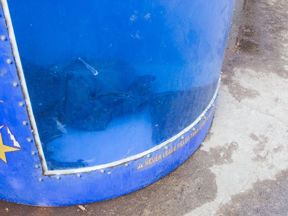 5th Annual Misprint Jortacular in Austin 2051