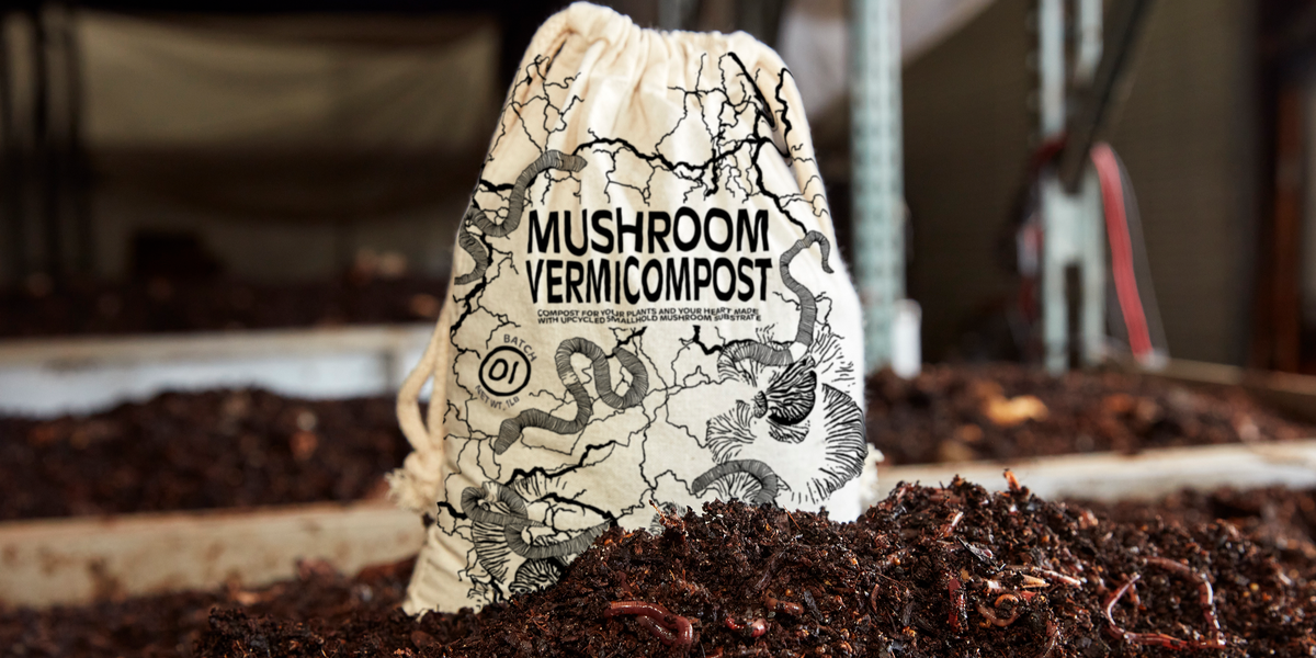 Austin-area mushroom and worm farms team up for home garden compost