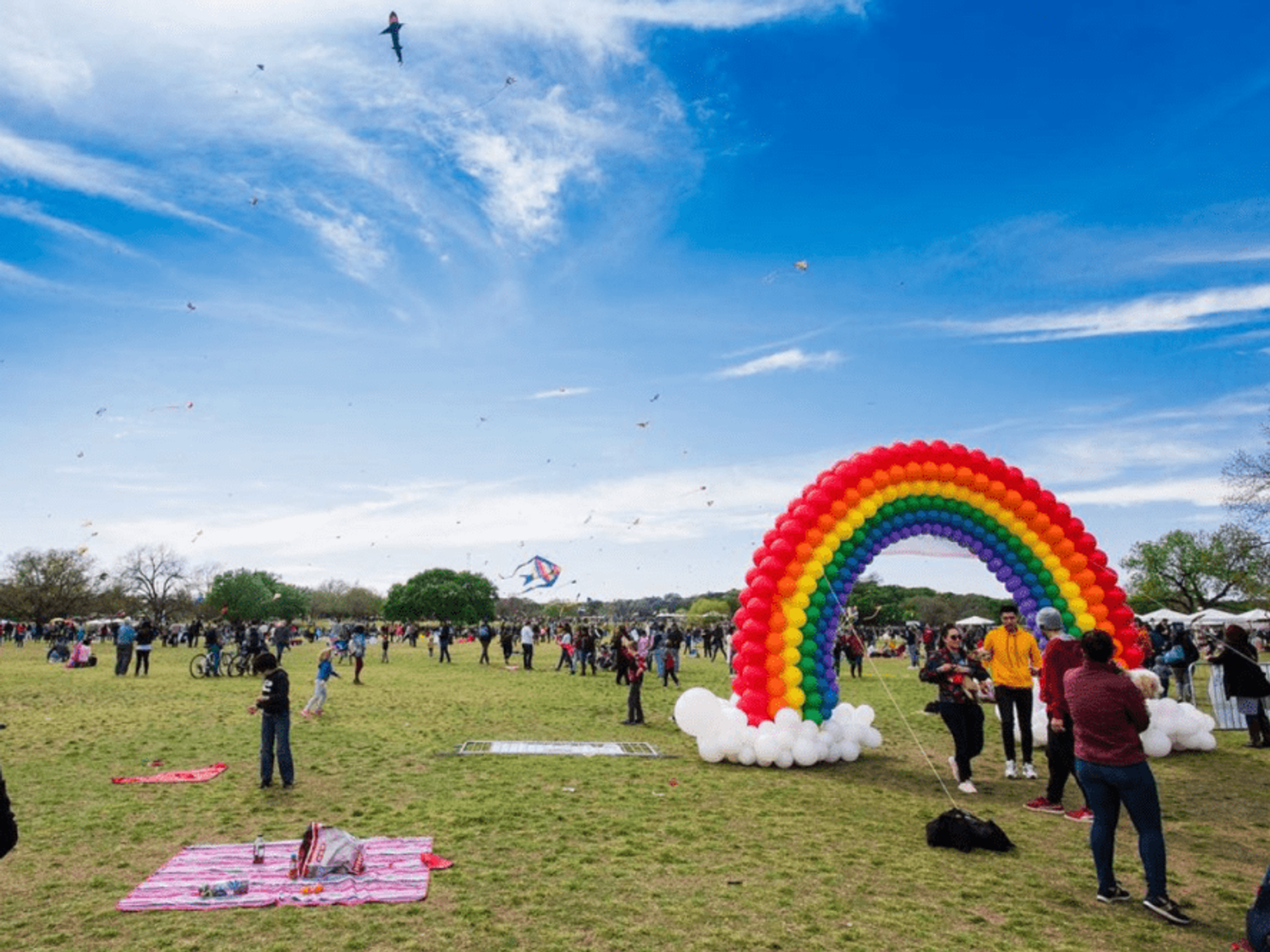 A balloon rainbow stands in Zilker Park during ABC Kite Fest.
