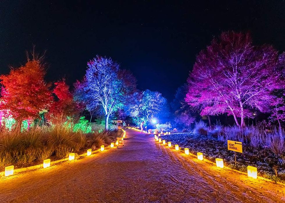 A previous year's display at the Wildflower Center's Luminations.