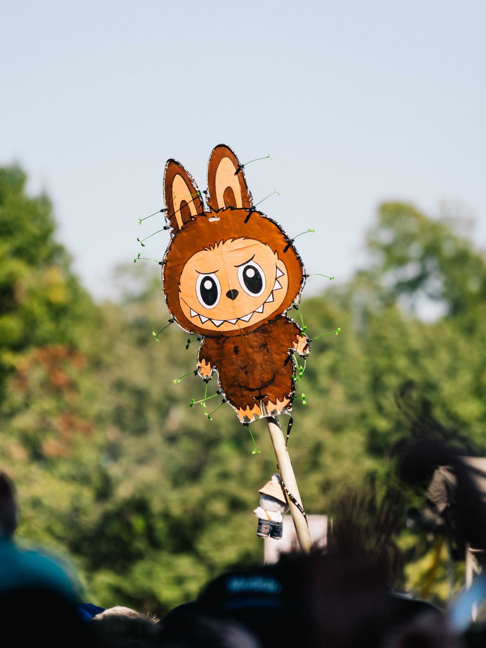 The best flags at ACL Music Festival 2025 - CultureMap Austin