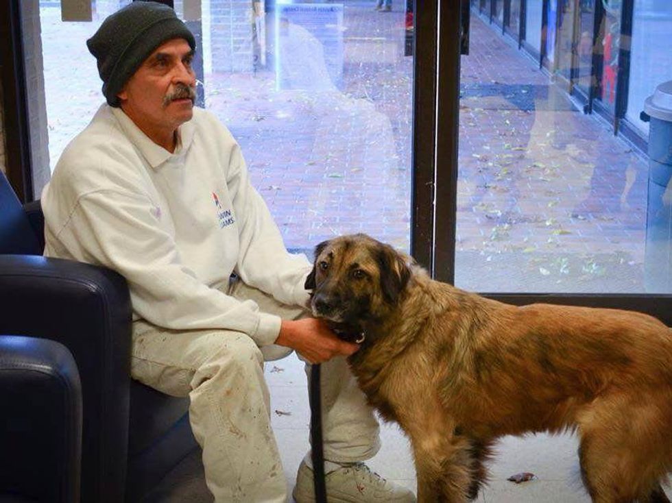 AFD Panda Dog Halloween Flood Reunited