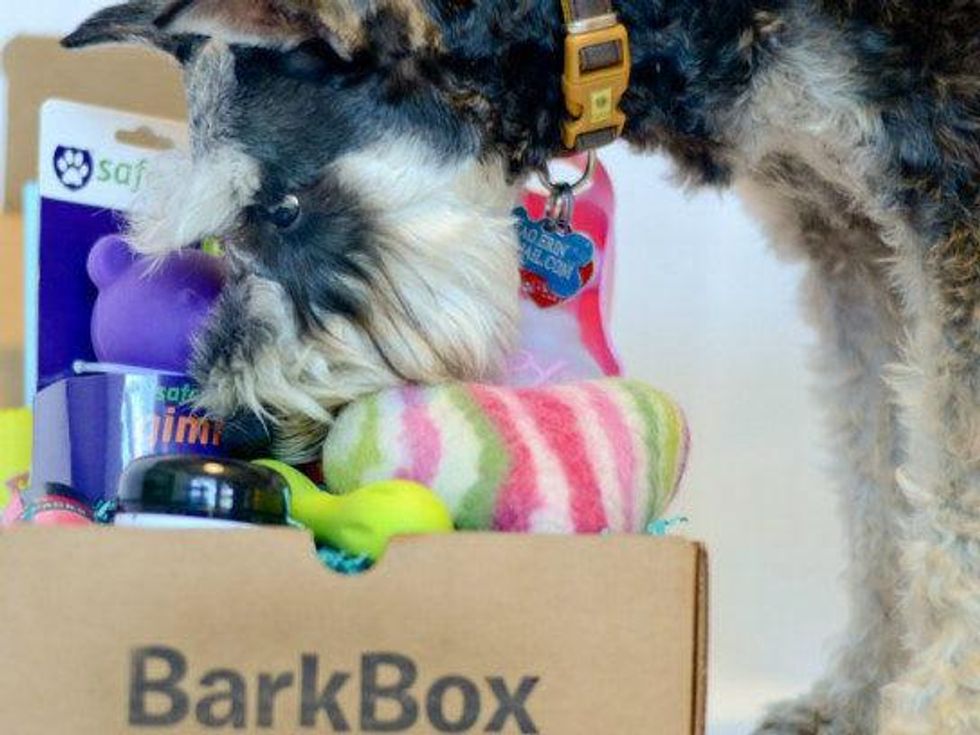 All BarkBoxes are animal approved