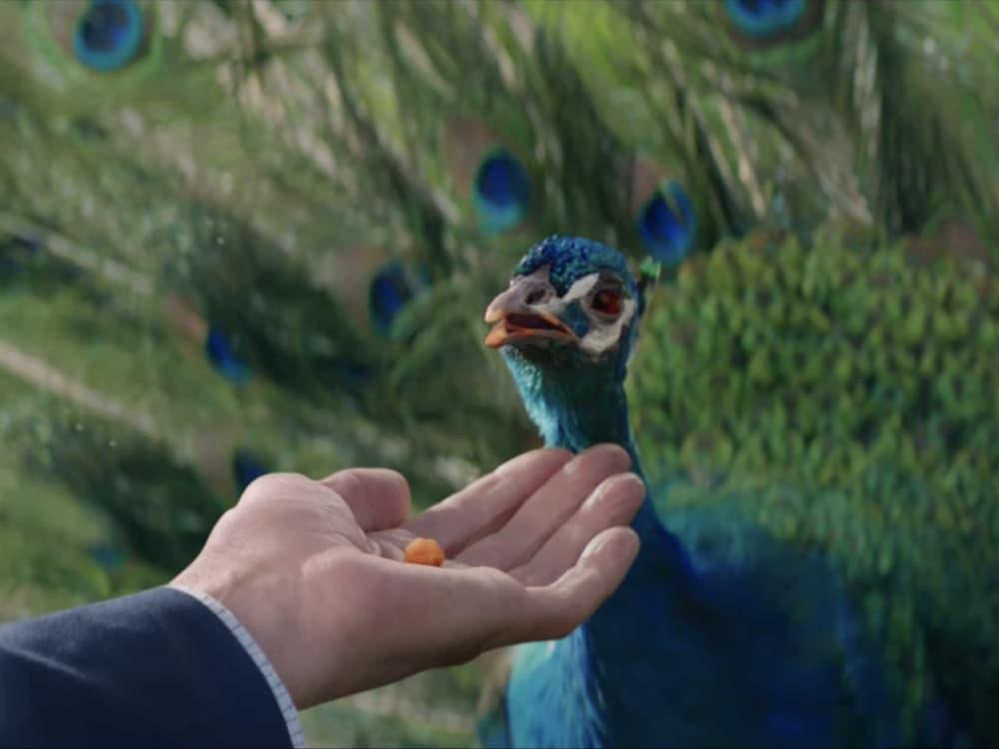 Amazon Alexa Super Bowl Ad