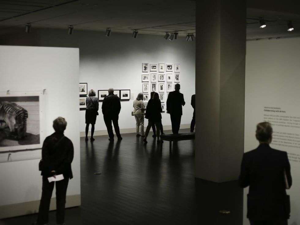 Ampersand Harry Ransom Center spring 2016 exhibitions