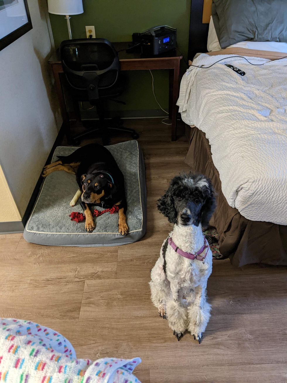 Amy and Zelda in the hotel