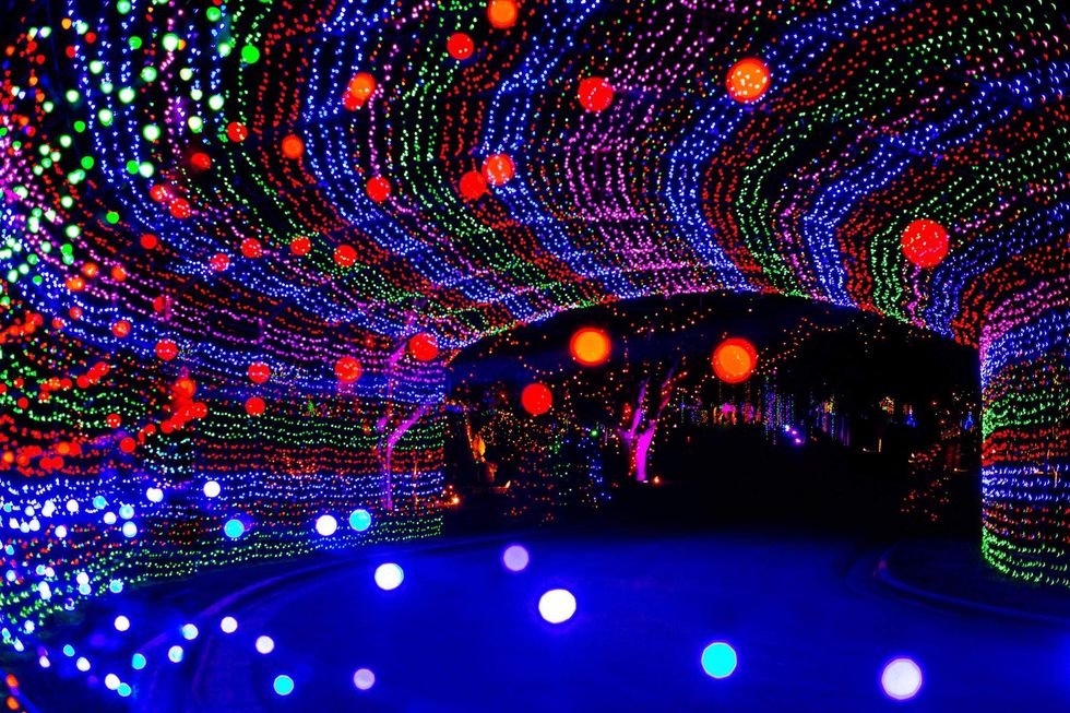 An archway of lights at Zilker's Trail of Lights.