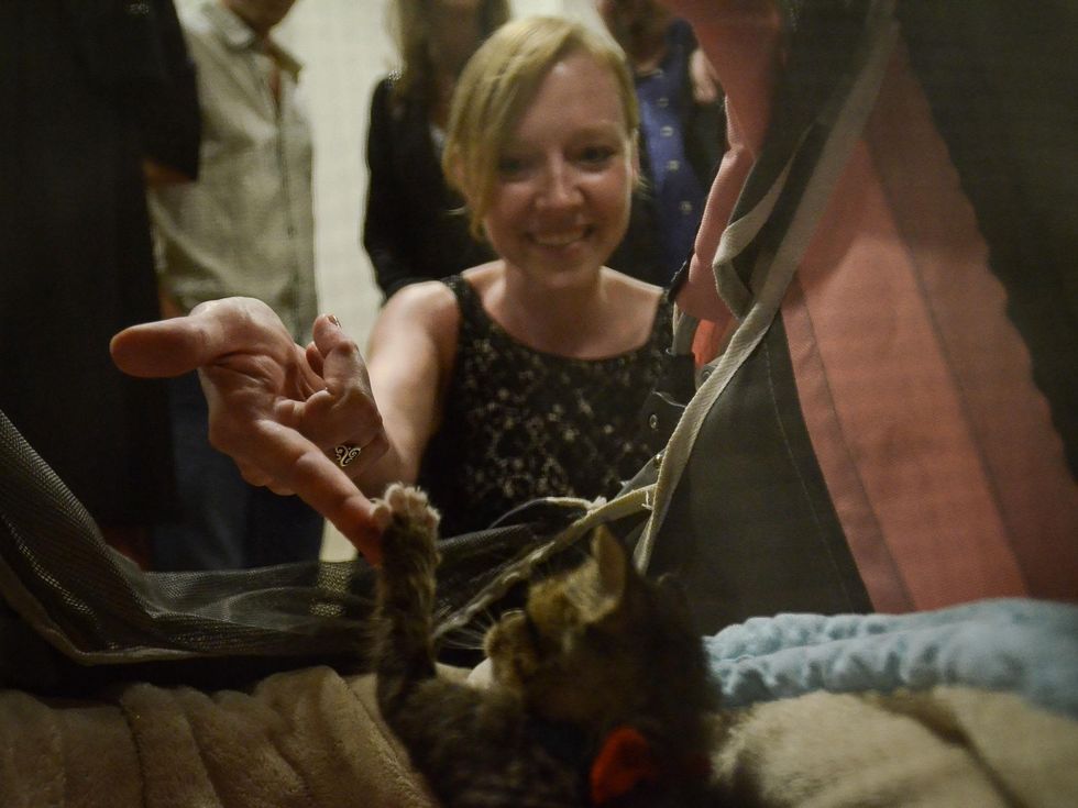 APA Dinner in Austin 7263