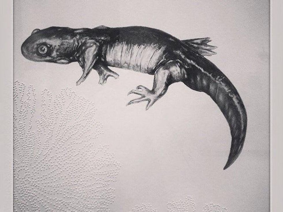 Art.Science.Gallery Salamander