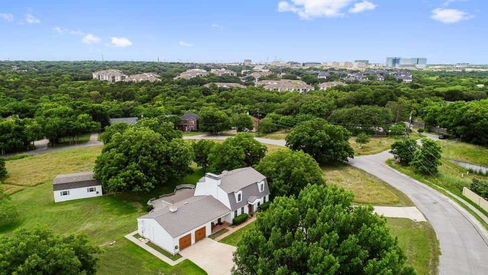 ATX_12209 Tanglewild