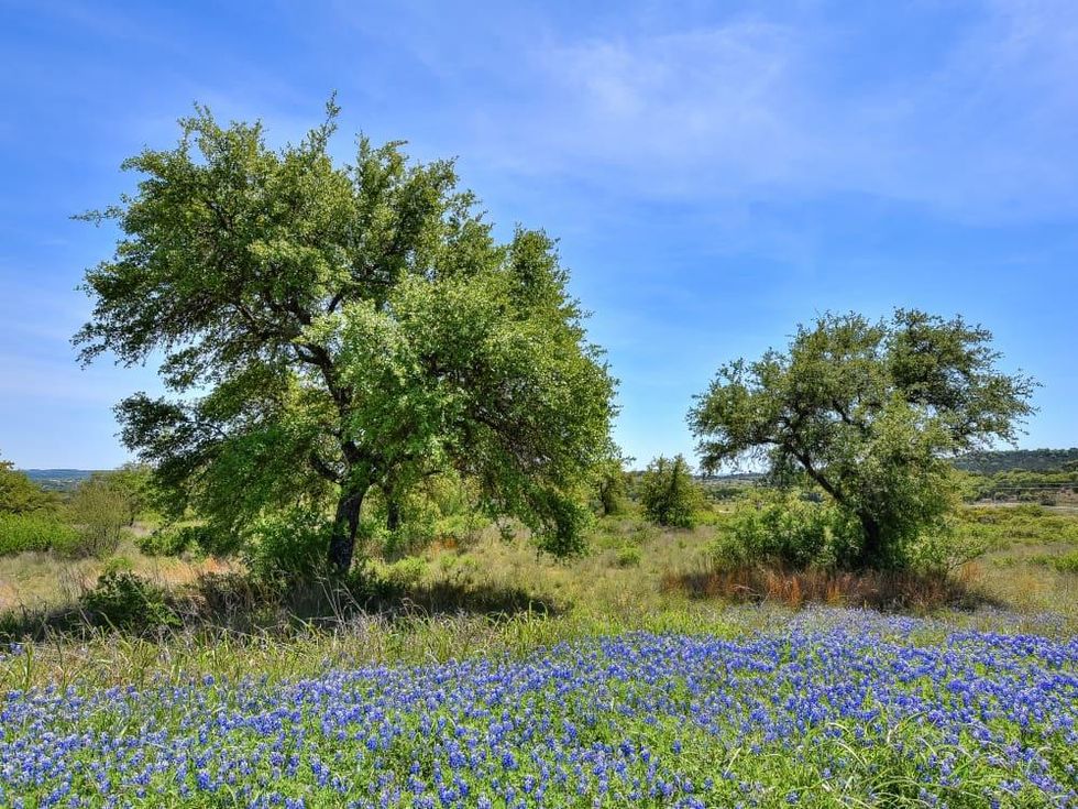 Austin_1116 Starlight Canyon Court