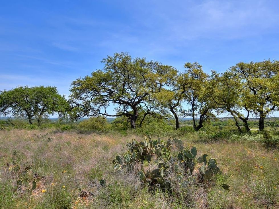 Austin_1116 Starlight Canyon Court