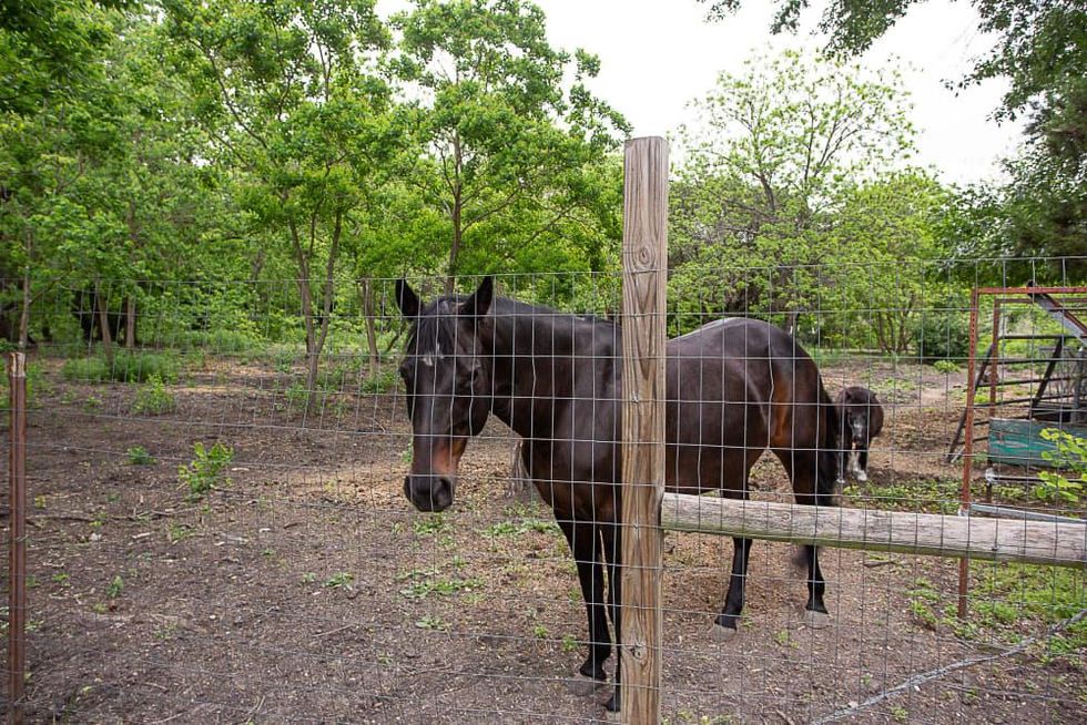 Austin_7408 Sherwood