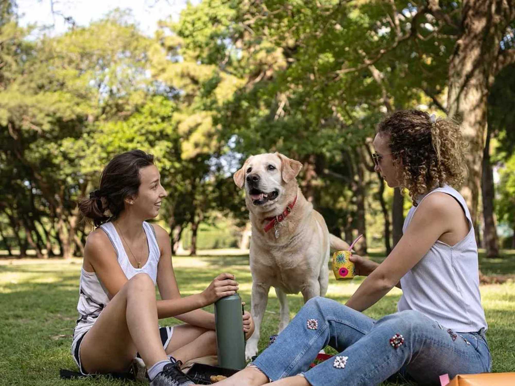 Austin Animal Center