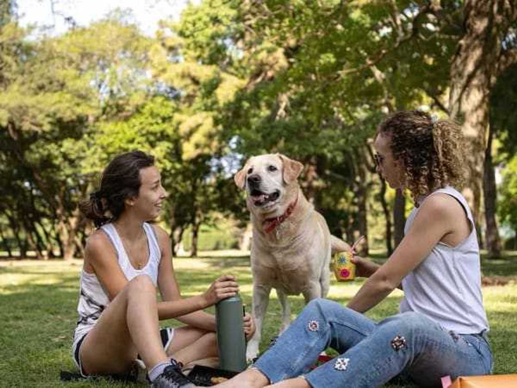 Austin Animal Center
