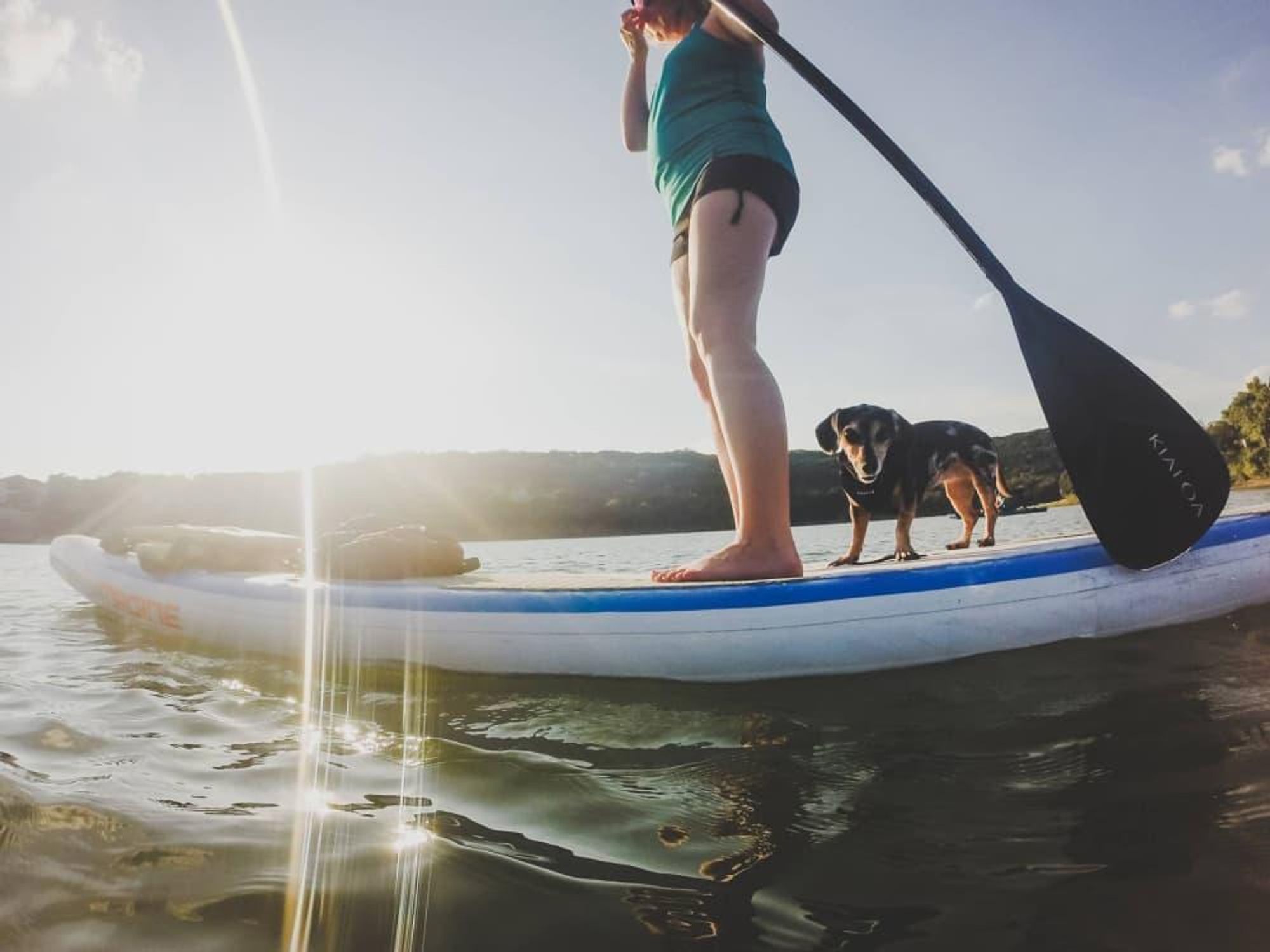 Austin Canoe Kayak paddle boarding dog