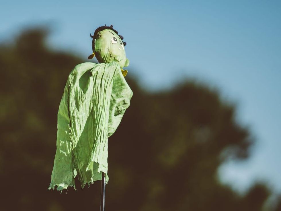 Austin City Limits Festival ACL Fest 2017 Weekend 1 Frankenstein Flag