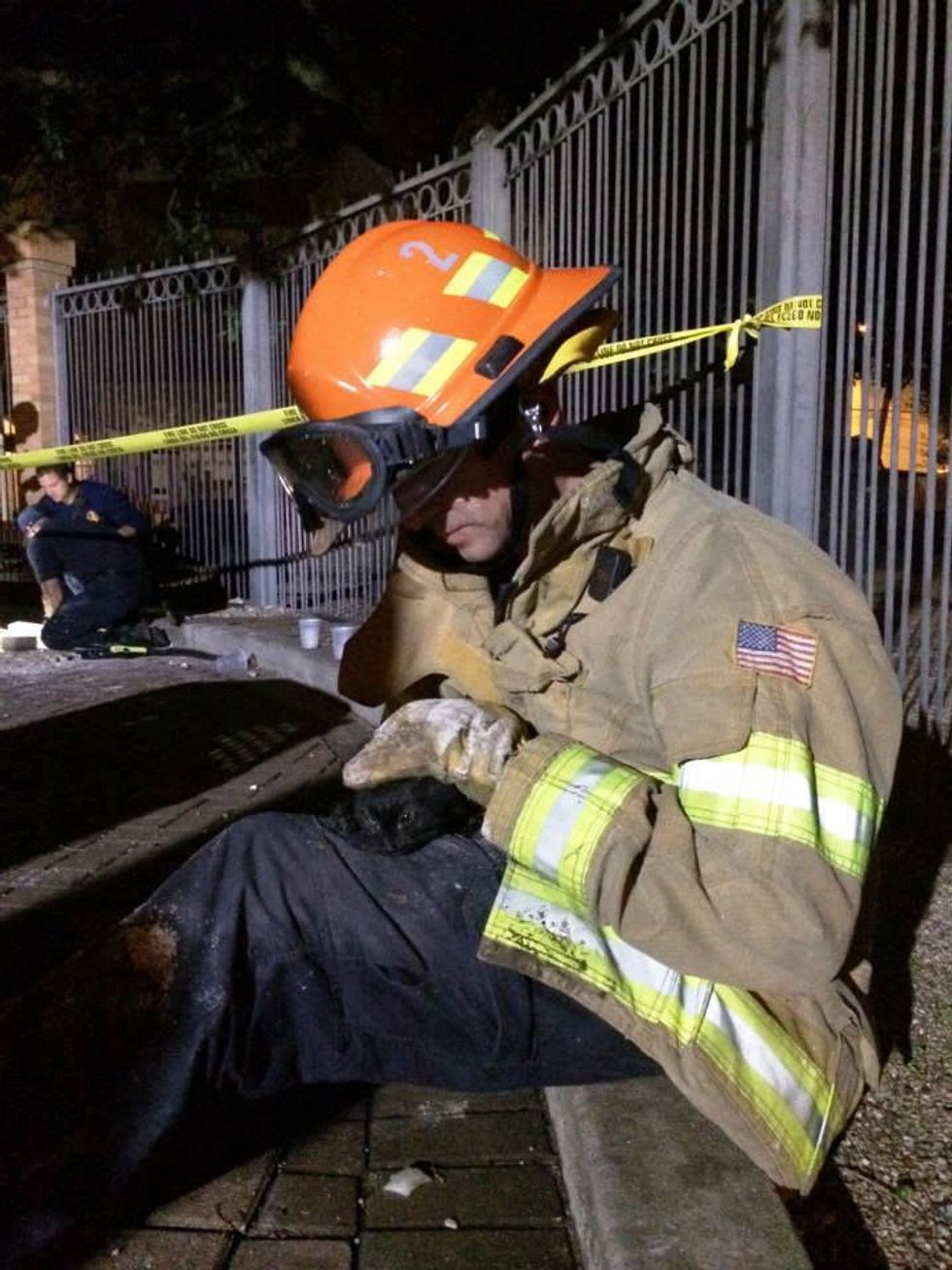 Austin Fire Department cat rescue