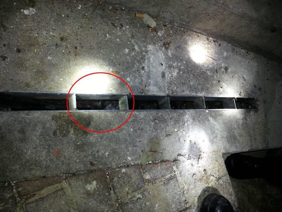 Austin Fire Department cat rescue