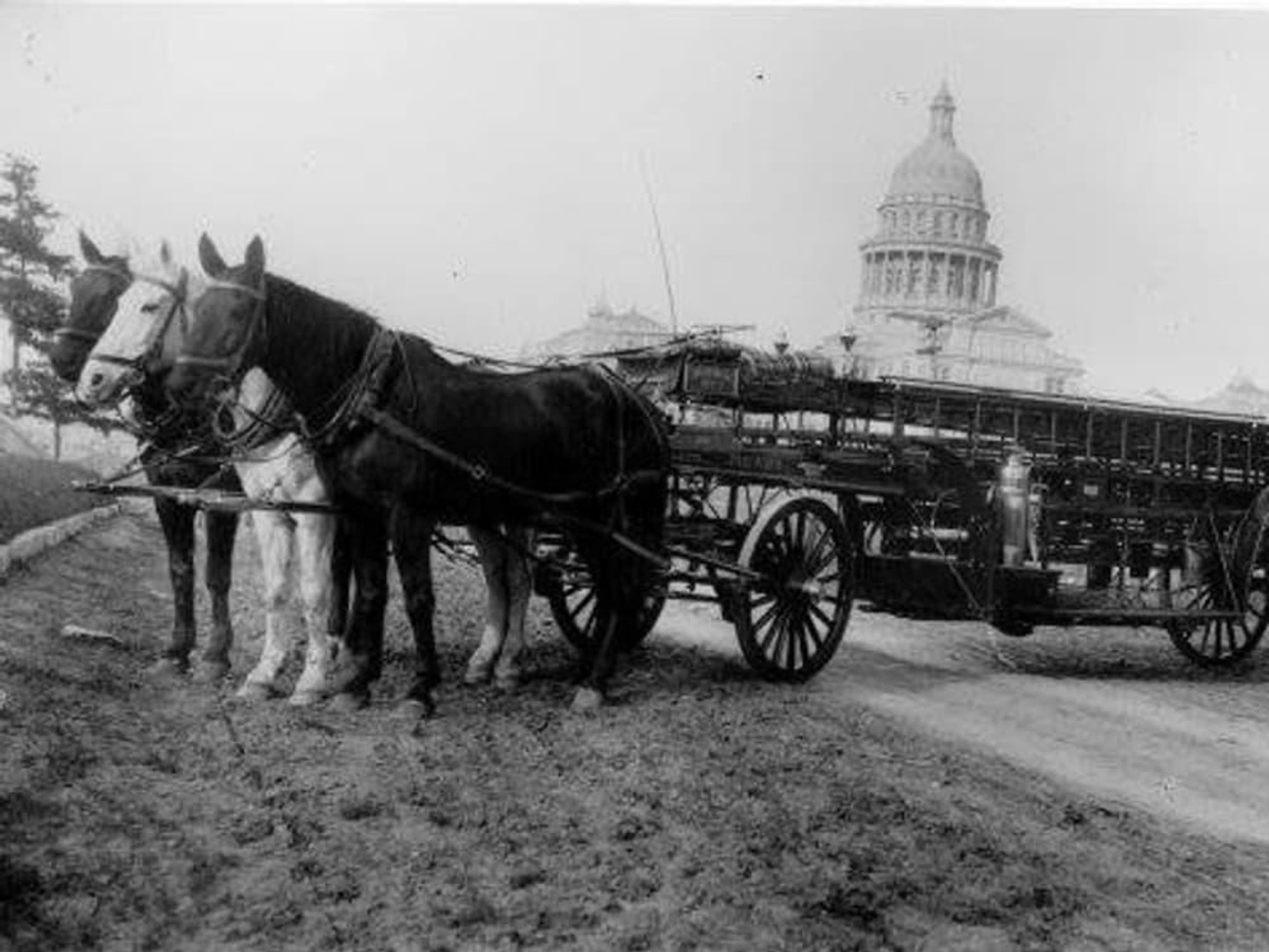 Austin Fire Department historical photo capitol building horses