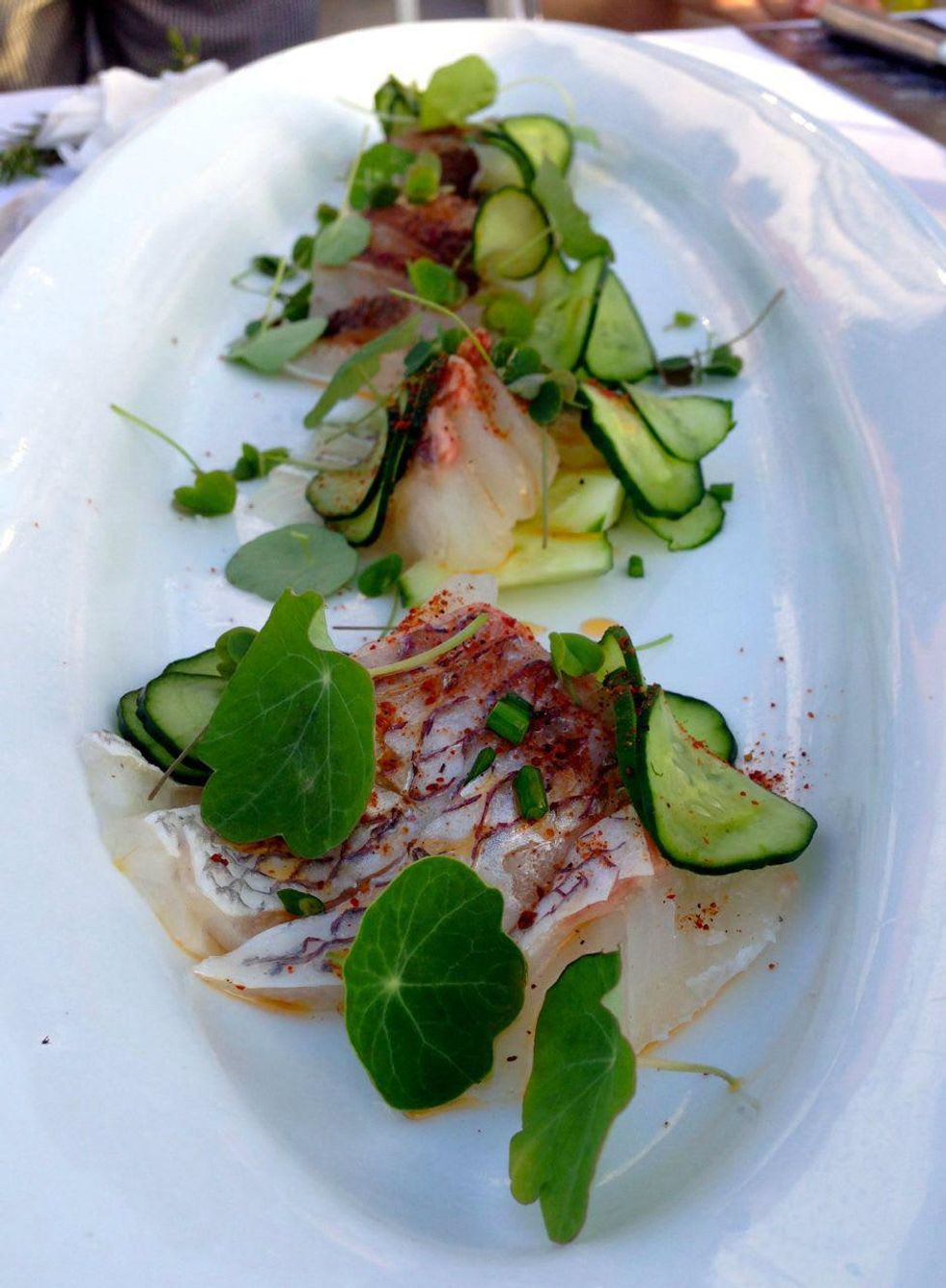 austin food and wine festival