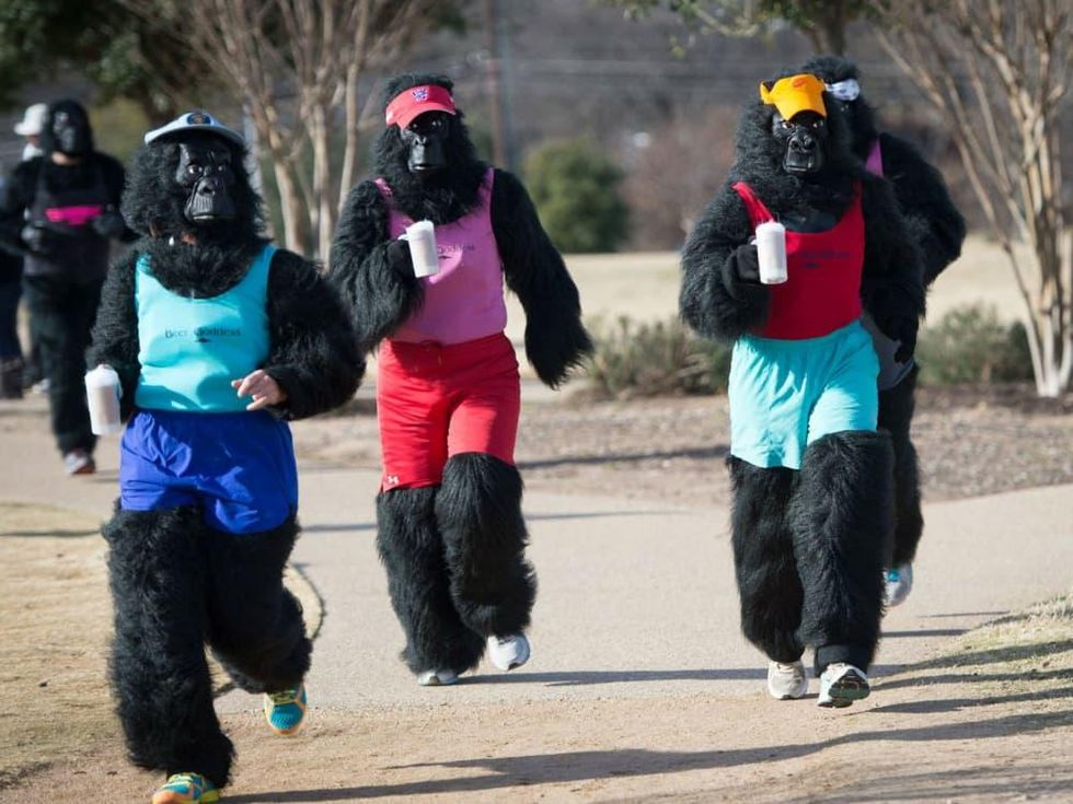 Austin Gorilla Run