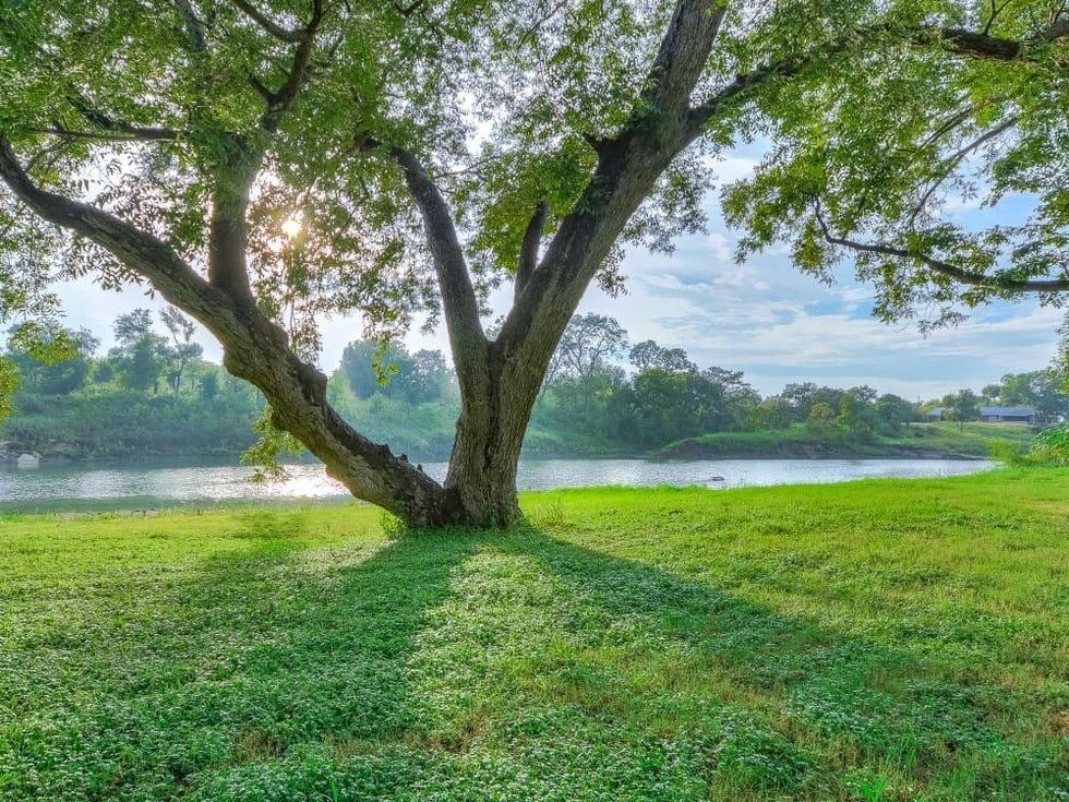 Austin house_2901 Old Stage Coach