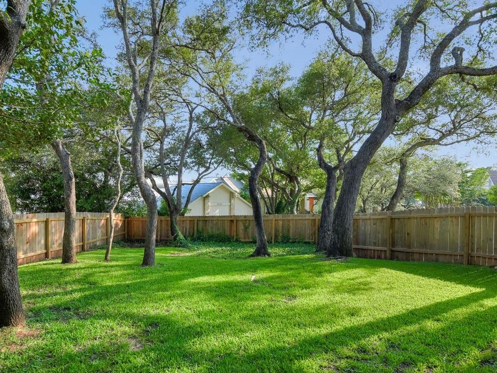 Austin house_6907 Ligustrum