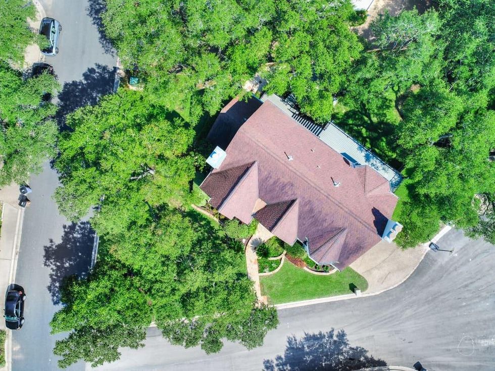 Austin house_6907 Ligustrum