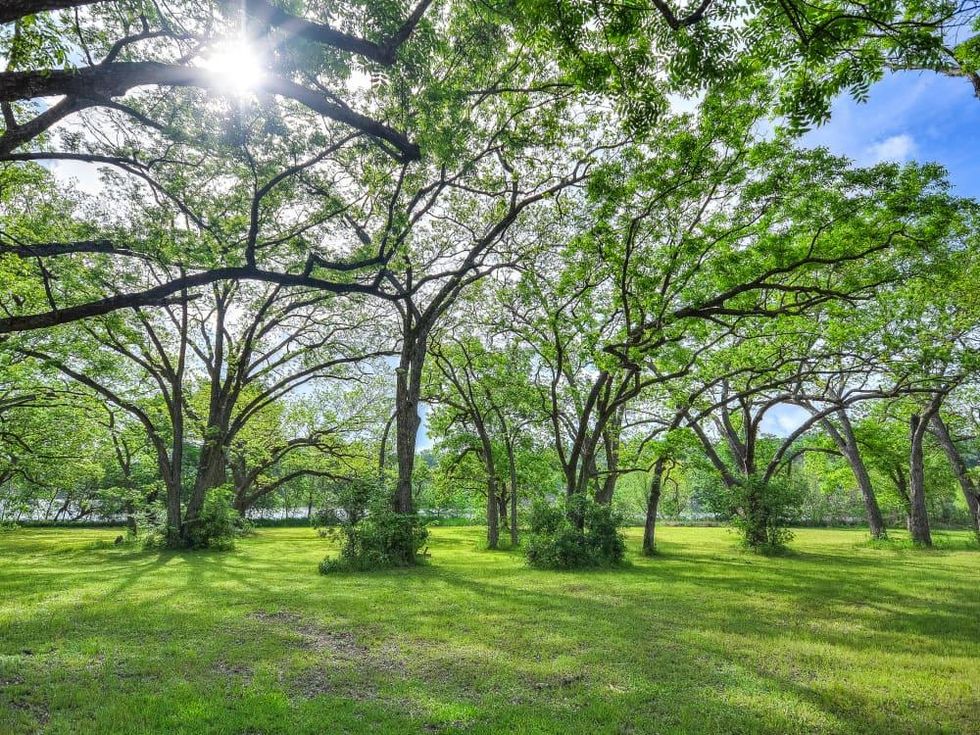 Austin house_7400 Coldwater Canyon