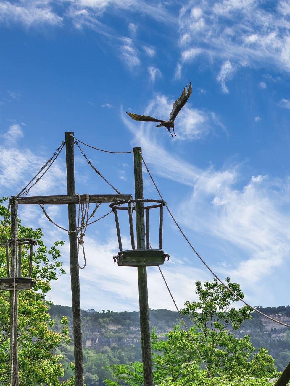 Austin house_7400 Coldwater Canyon