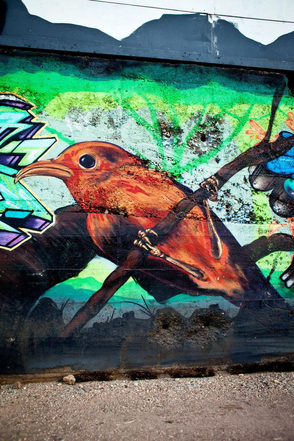 Artful graffiti: A photo journey through Austin's most vibrant street art