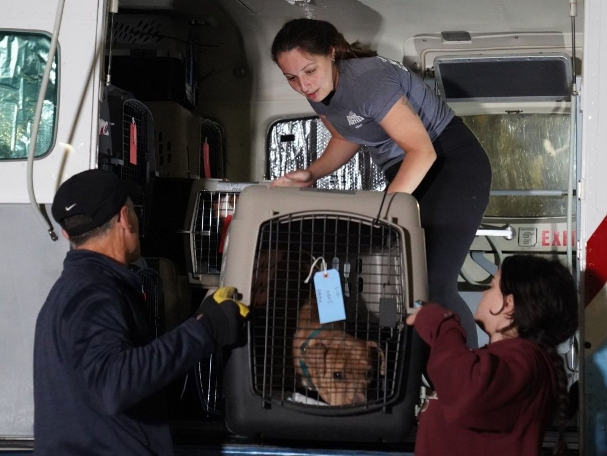 Austin Pet's Alive! transportation