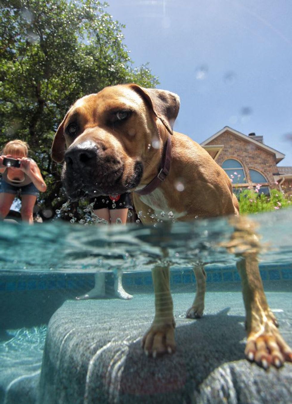 austin pets alive barrels2