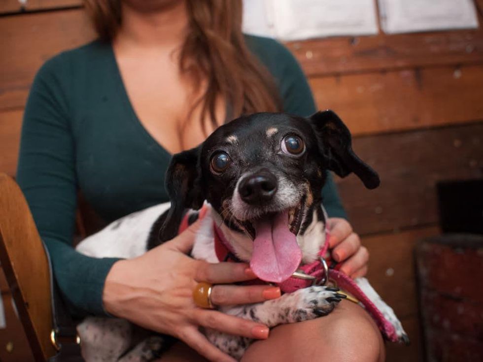 Austin Pets Alive Dating Auction at The Mohawk in Austin-9509