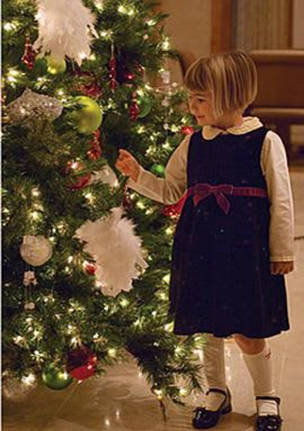 Austin photo: Event_Tree Lighting_Four Seasons