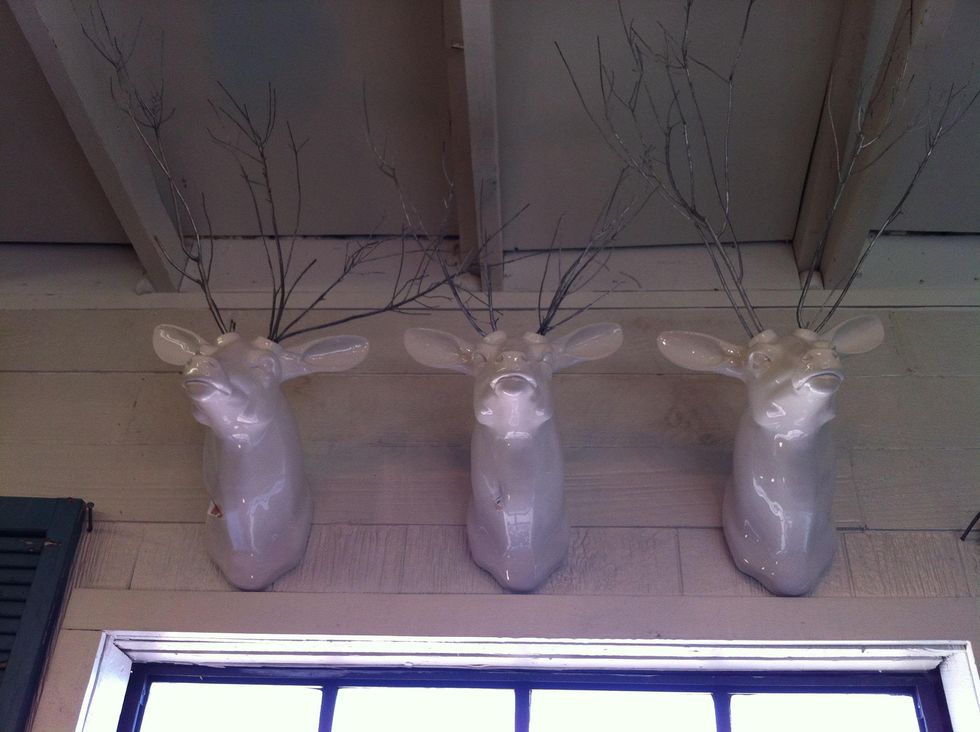 austin photo: news_patricia_old is new 4