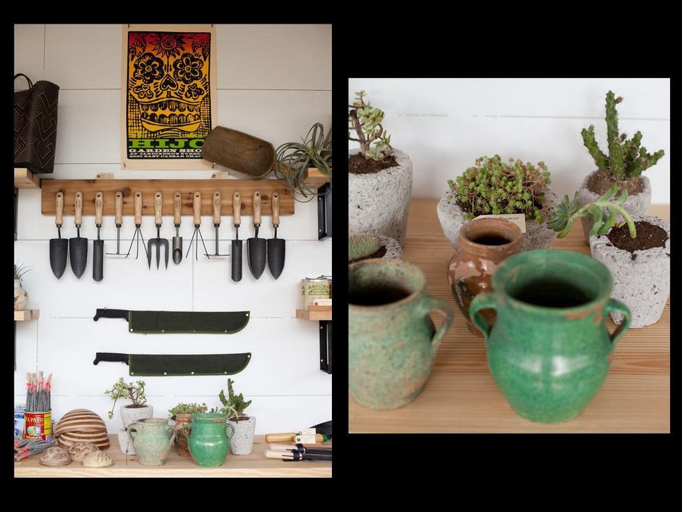 Austin Photo Set: caitlin_hijo_jardinero_april 2013_2