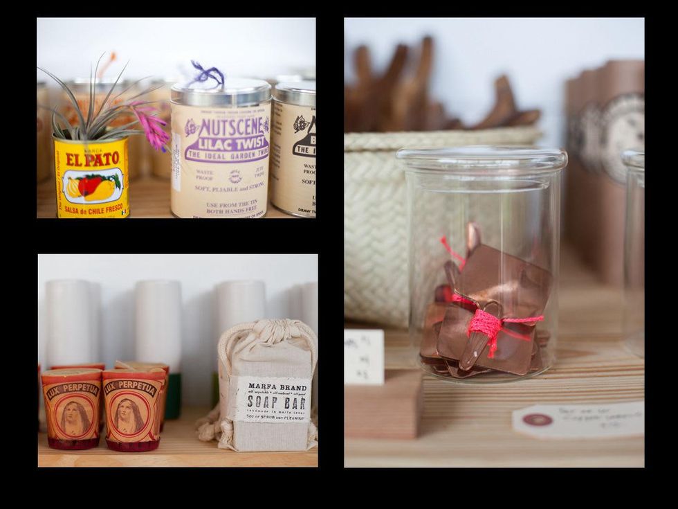 Austin Photo Set: caitlin_hijo_jardinero_april 2013_4