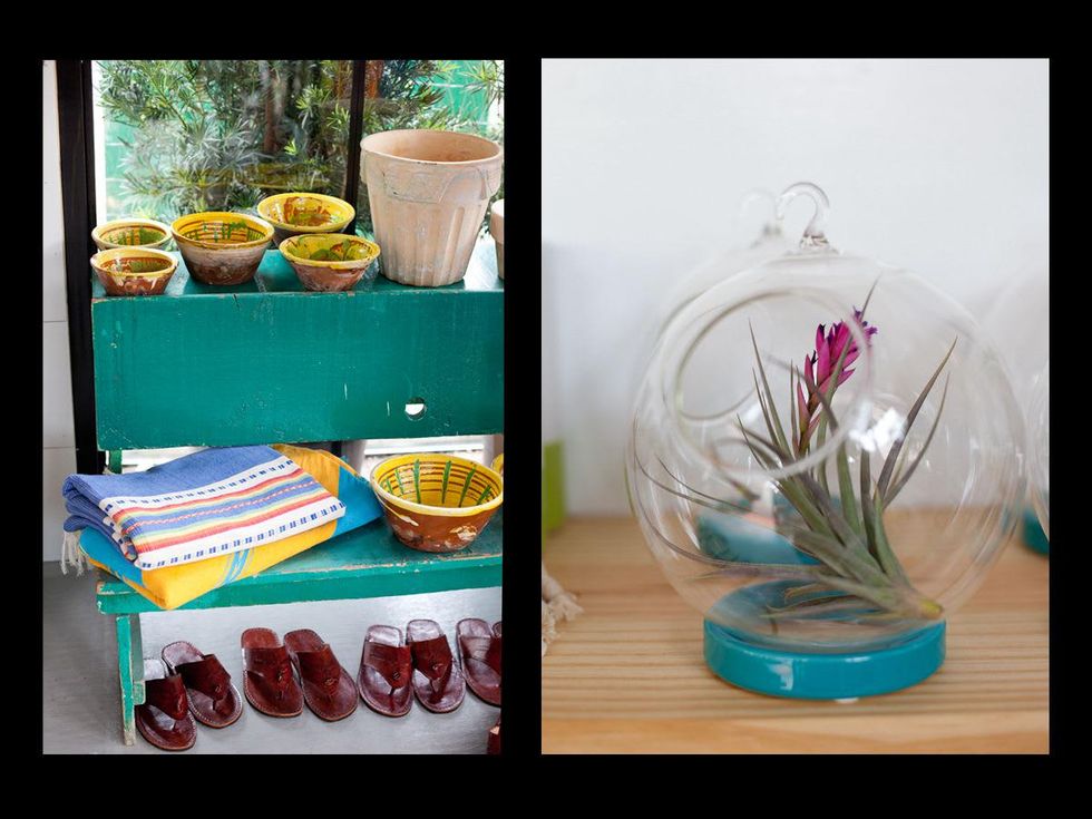 Austin Photo Set: caitlin_hijo_jardinero_april 2013_5