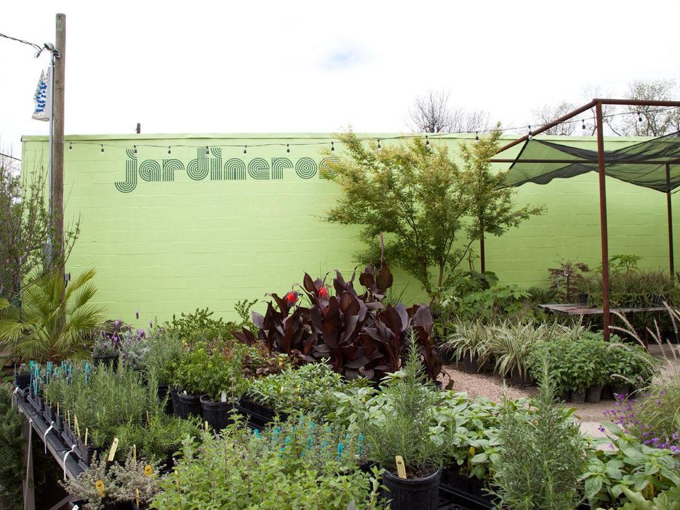 Austin Photo Set: caitlin_hijo_jardinero_april 2013_6