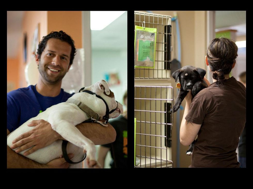 Austin Photo Set: News_caitlin_austin pets alive_feb 2013_4