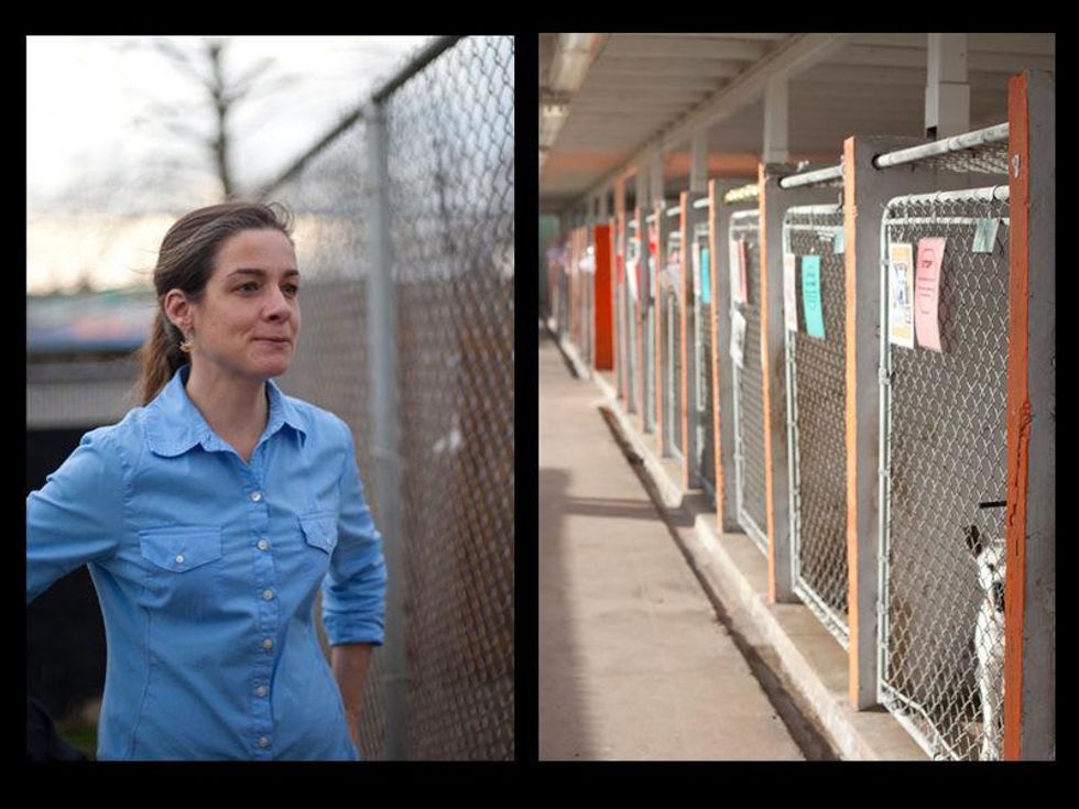 Austin Photo Set: News_caitlin_austin pets alive_feb 2013_7