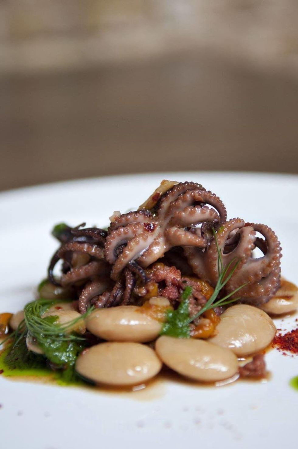 Austin Photo Set: News_Dupuy_Swifts Attic_may 2012_8